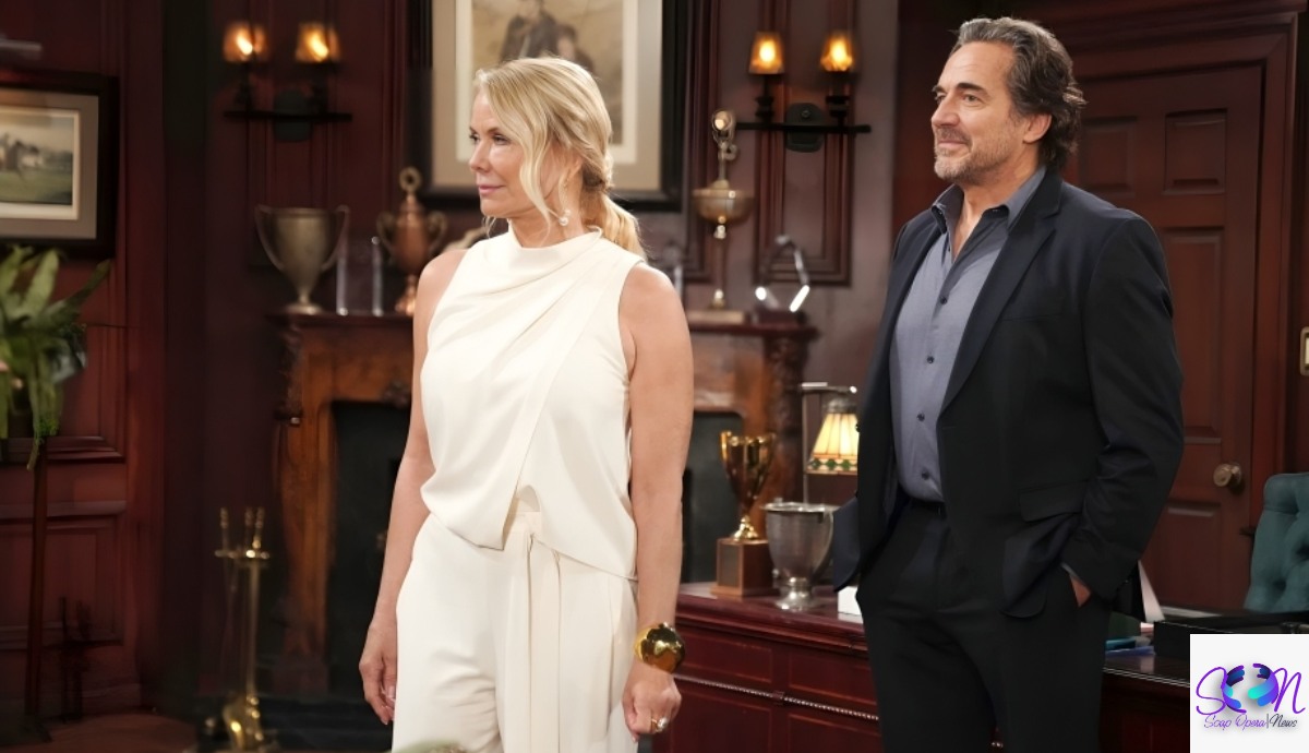The Bold and the Beautiful Spoilers: Ridge Has Big News for Steffy