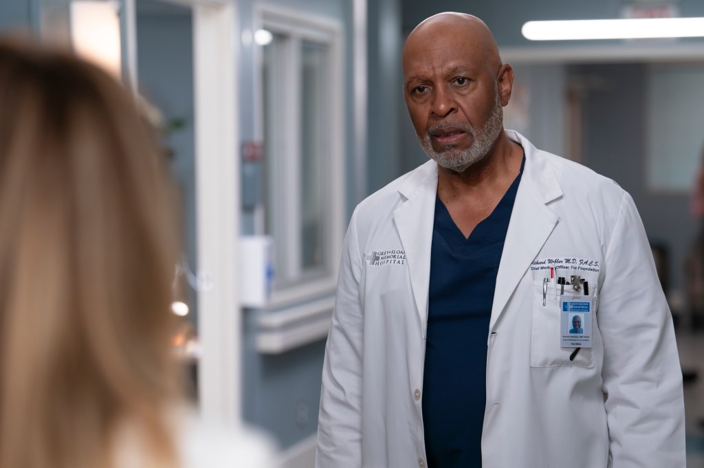 Grey's Anatomy spoilers October 10, 2024 next week sneak peek photos