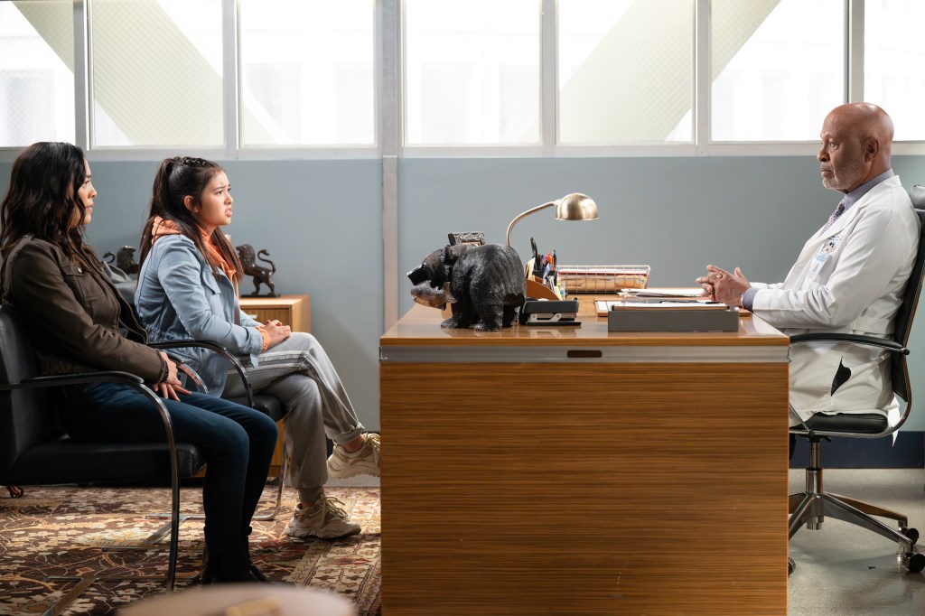 Grey's Anatomy October 17: Photographic Sneak Peek Spoilers