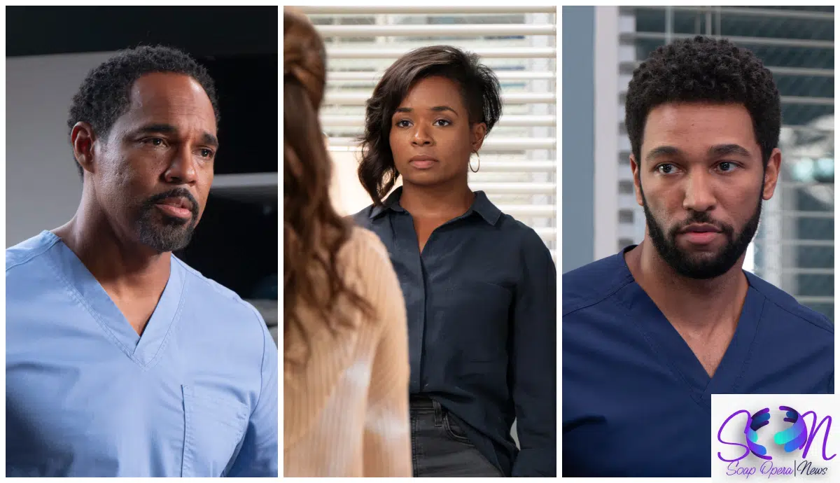 Grey’s Anatomy November 14: Photographic Sneak Peek