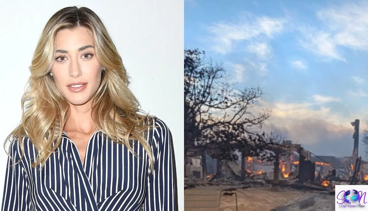Jessica Serfaty Loses Home to California Wildfires
